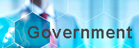 Government